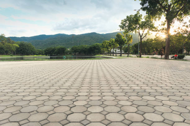 Best Concrete Paver Driveway  in Goldthwaite, TX